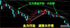 主力持仓 _ 东方财富网