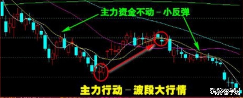 主力持仓 _ 东方财富网